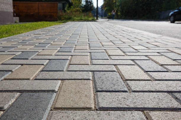 Best Professional Driveway Pavers  in Palatine, IL