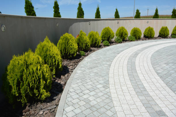 Professional Driveway Pavers in Palatine, IL